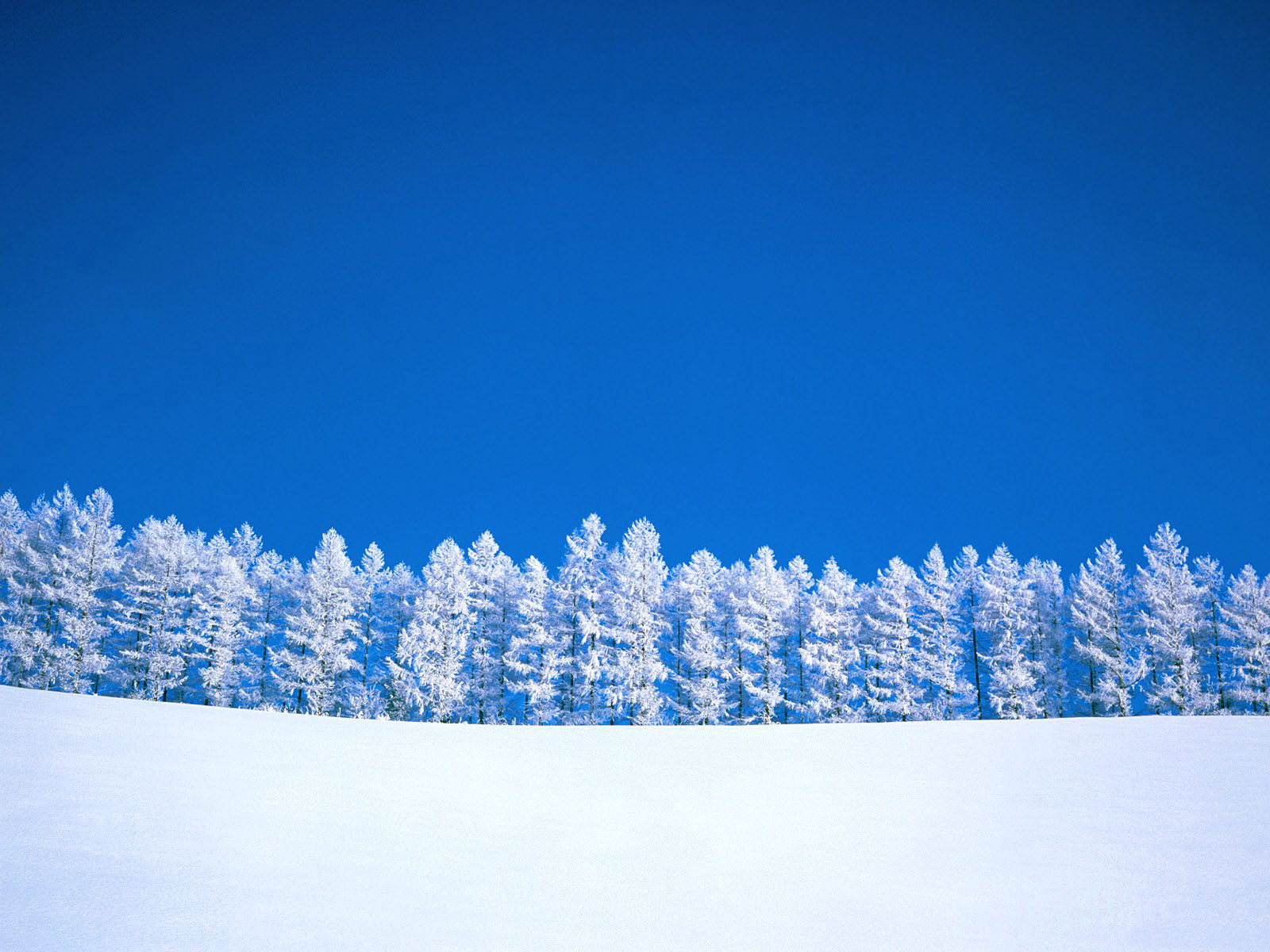 感受冬天!冰天雪地壁纸_风景_太平洋电脑网