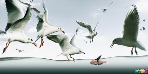 怪异的图片集锦