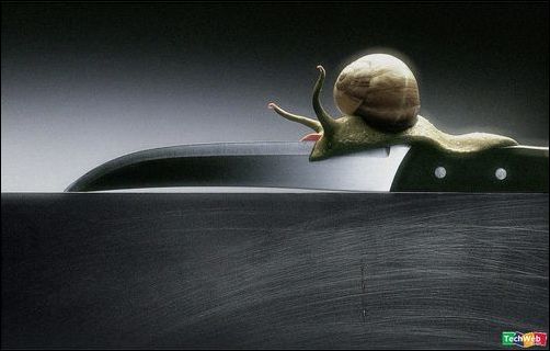 怪异的图片集锦