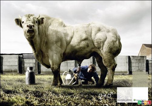 怪异的图片集锦