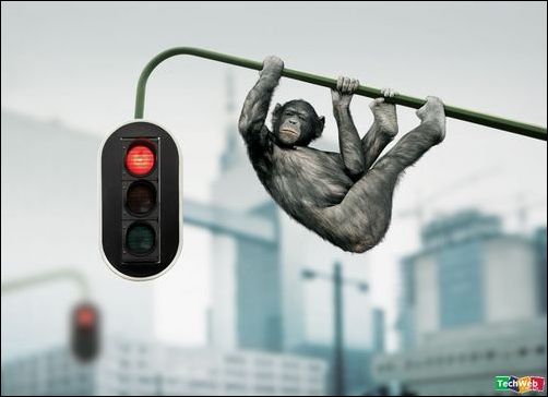 怪异的图片集锦