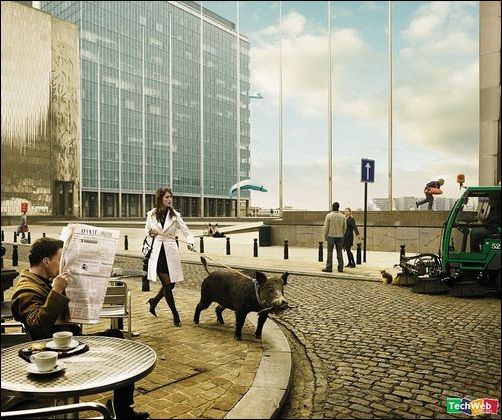 怪异的图片集锦