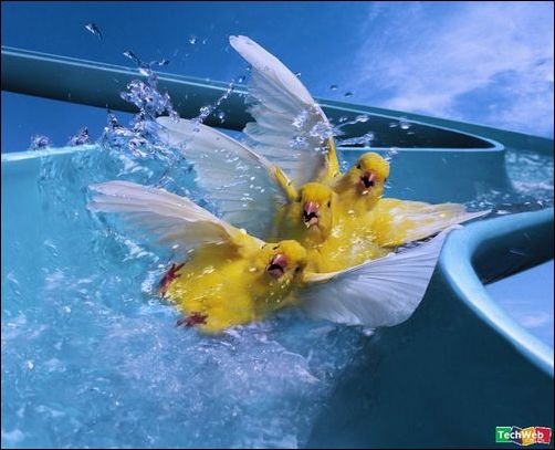 怪异的图片集锦