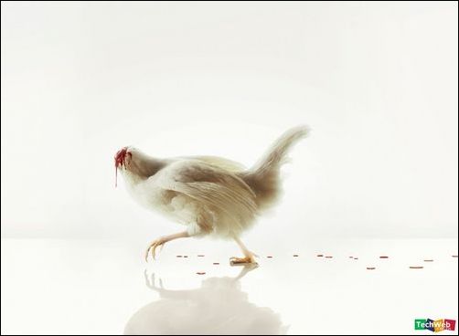 怪异的图片集锦