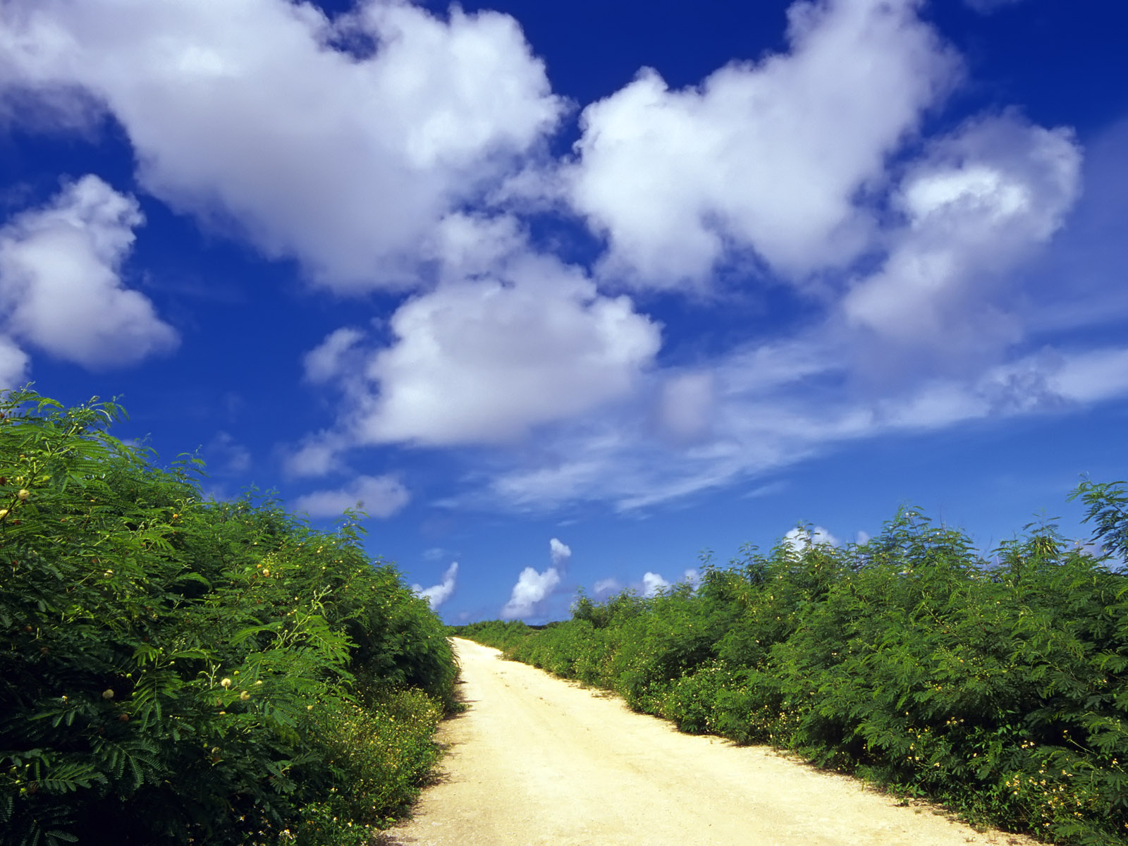 1073819_070808road10.jpg