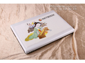 netbook N46L(T8100)