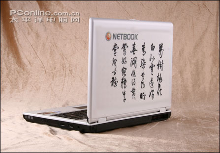 NETBOOK N46L