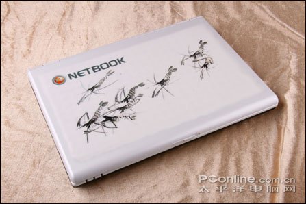 NETBOOK N46L