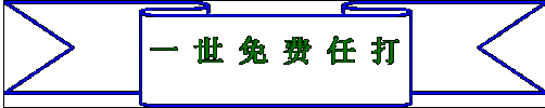 2009! VOIPϵͳҵ