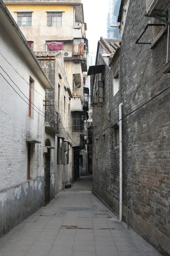 样张