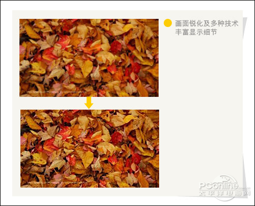 音悦汇T17FHD