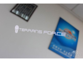 Terrans Force X8100-P(8G)Terrans Force X8100