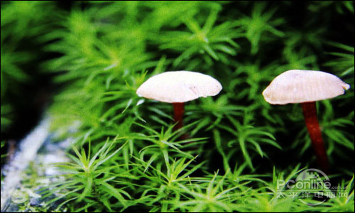 触控高清新体验 昂达触控新力军Vi20评测