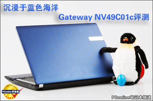 Gateway NV49C01c 