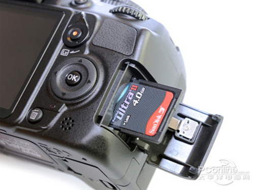 D3100