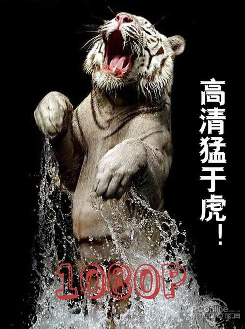 佳的美 P82