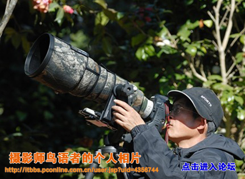 生态摄影师鸟语者照片