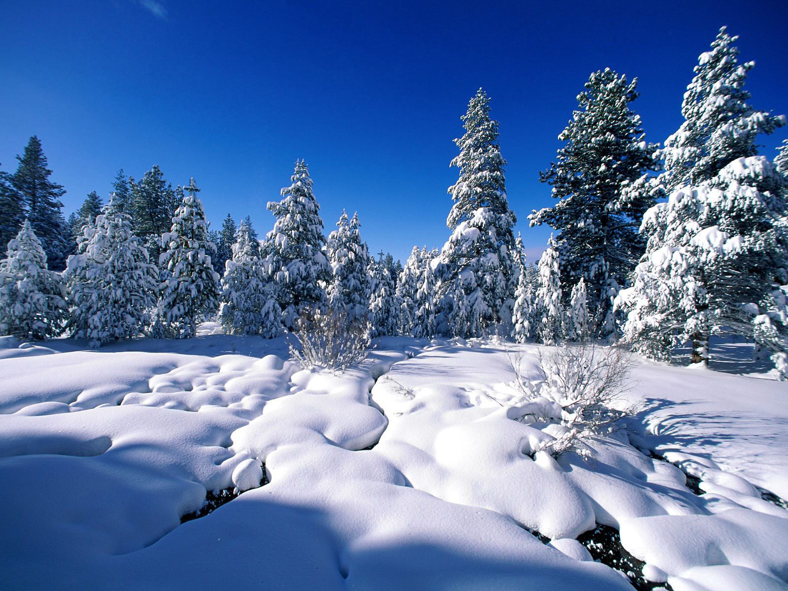 自然风景,冰天雪地,冰雪世界,雪景壁纸_高清风景壁纸_彼岸桌面