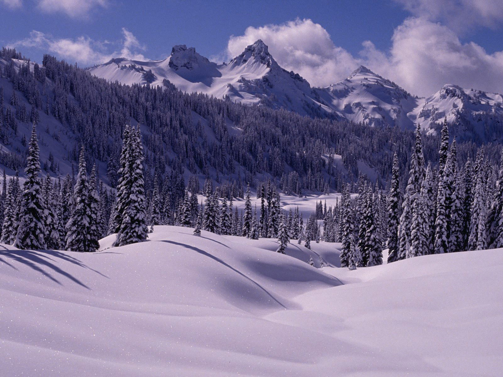 冰天雪地唯美好看的雪中美景唯美图集桌面壁纸下载第一辑-风景壁纸-壁纸下载-美桌网
