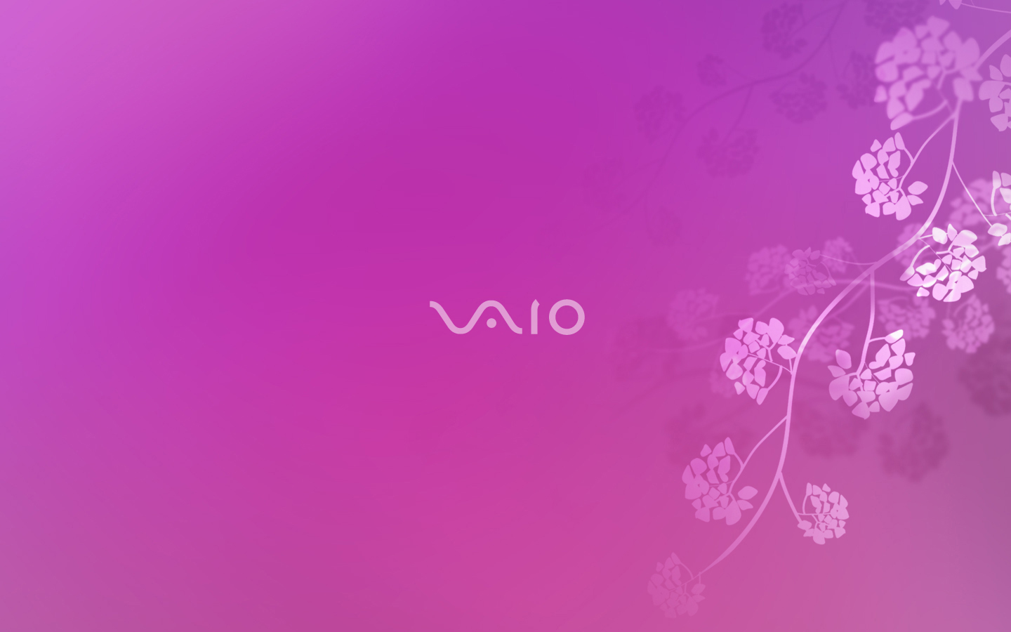 958403_070206vaio36.jpg