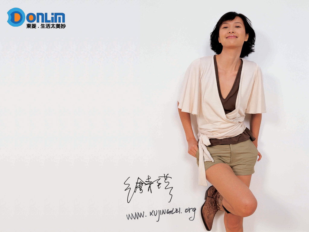 才女!徐静蕾精美广告壁纸