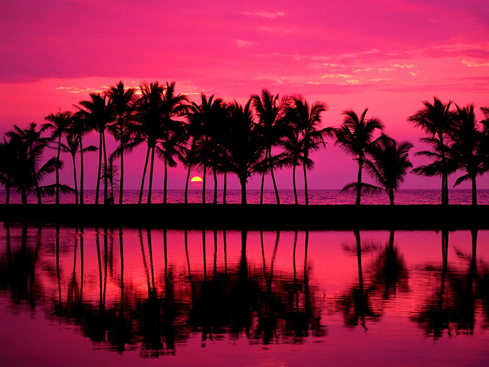 《美国-夏威夷》_想·享摄影|摄影|风光|Image想 - 原创作品 - 站酷 (ZCOOL)