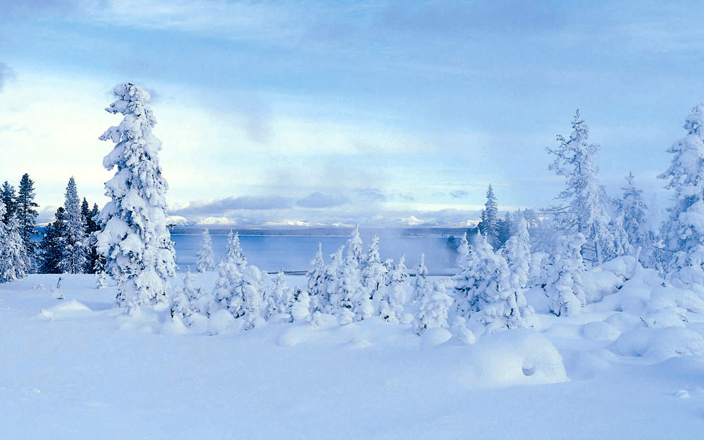 清凉 冬日雪景宽屏壁纸 风景 太平洋电脑网