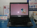 netbook N4W1(T2450)