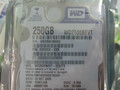  SATA 250G/5400/8M(WD2500BEVT)