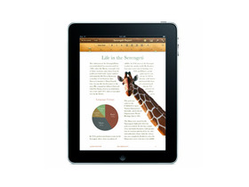 ƻiPad(16G/wifi/3G)ƻipad