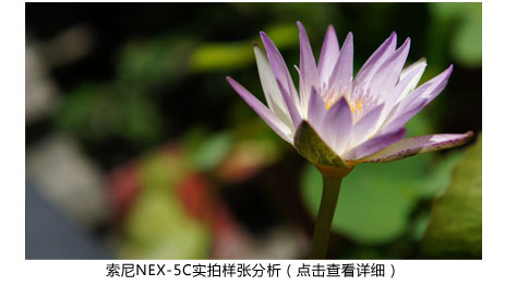 索尼NEX可更换镜头数码相机发布会专题